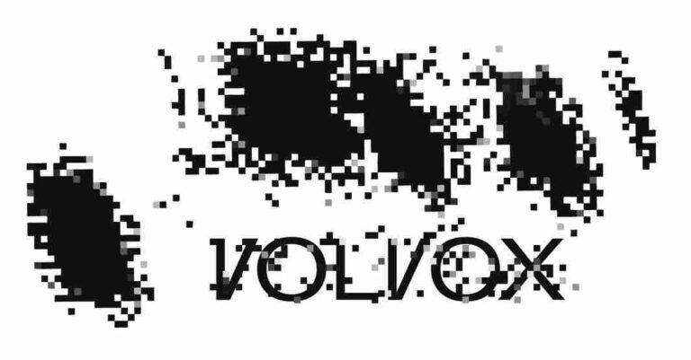 Image: https://www.marks-iplaw.jp/volvo-vs-volvox/